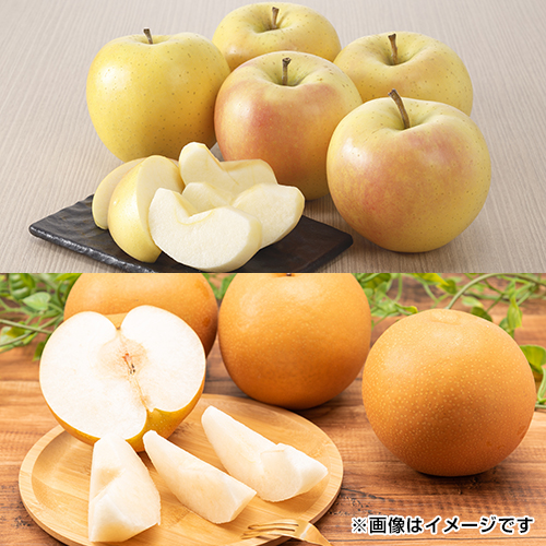 �g�L�E�ɂ����藜�Z�b�g_main_1