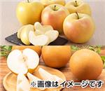 �g�L�E�ɂ����藜�Z�b�g�@