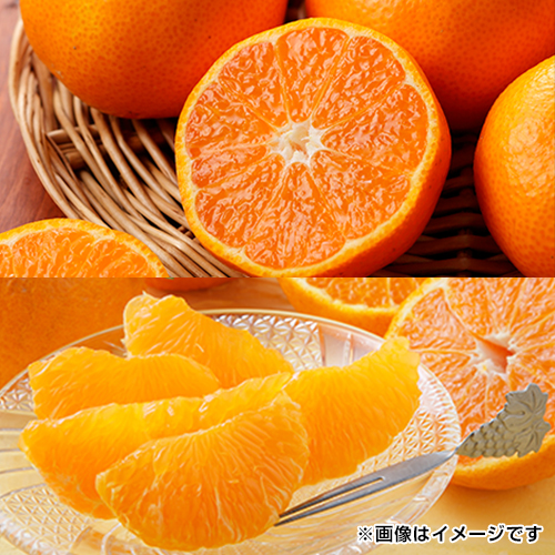 ���Ƃ��E�f�R�|���Z�b�g_main_1