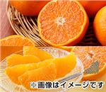 ���Ƃ��E�f�R�|���Z�b�g�@