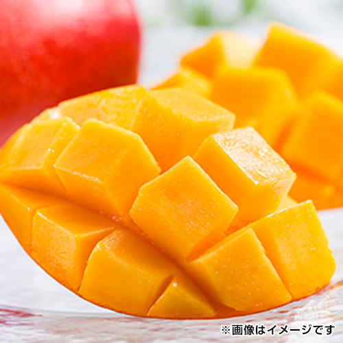���ꌧ�Y�@�}���S�[�@��1.5kg_main_1