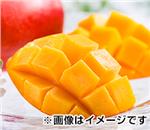 ���ꌧ�Y�@�}���S�[�@��1.5kg�@