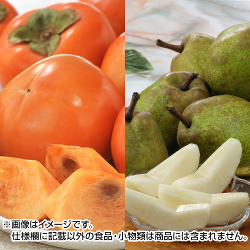 �x�L�`�E���t�����X�Z�b�g_main_1