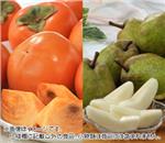�x�L�`�E���t�����X�Z�b�g�@