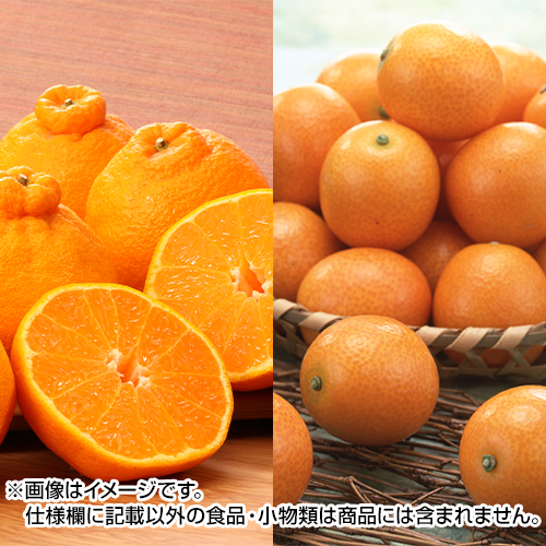 �叫�G�E�t�P�i�����j�Z�b�g_main_1