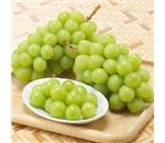 �V���C���}�X�J�b�g�@��2kg�i3-6�[�ڈ��j�@