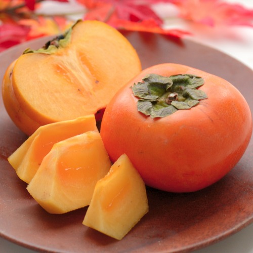 �y�������_��z�R�`���̏����`���j���`4kg_main_1