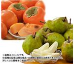 ��������̕x�L�`�E��ʃ��E�t�����X�@