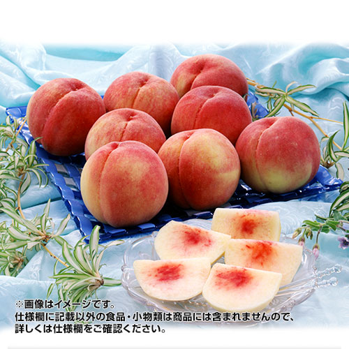 �G�i�ȏ�����I�@�������Y�����@��2.8kg_main_1