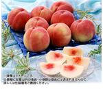 �G�i�ȏ�����I�@�������Y�����@��2.8kg�@