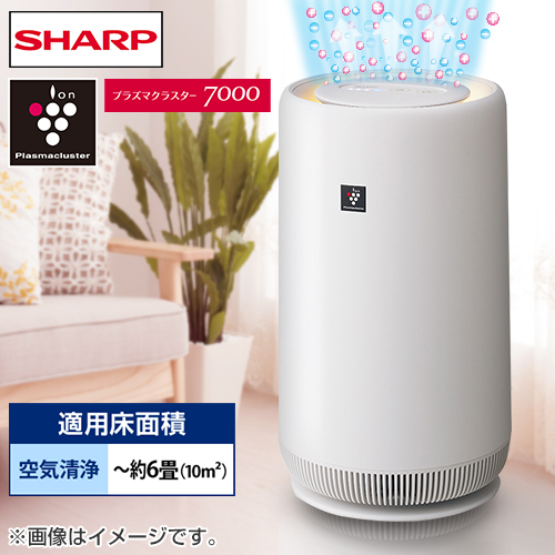 �V���[�v�@�y���i�z��C����@�@�z���C�g�n�@FU-NC01-W_main_1