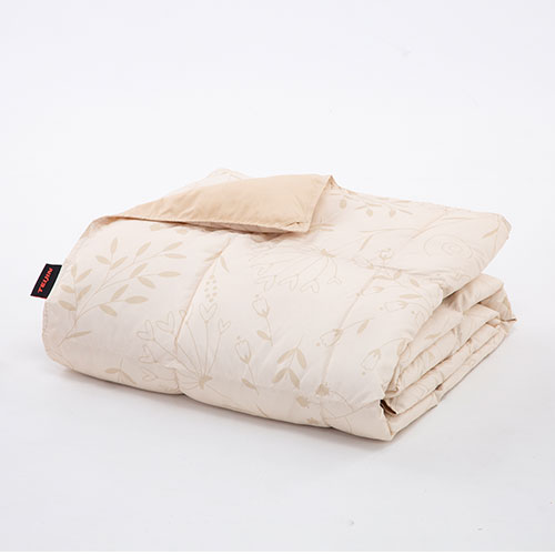 ��l�A�N�V�A�@�y���i�z�}�C�N���t���b�t�B�[���|���z�c�@�V���O���@�x�[�W���@KKXX039_main_1