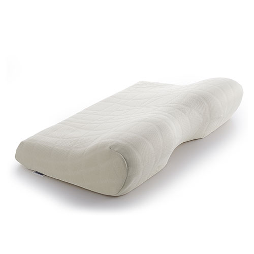 �s�d�l�o�t�q�@�y�V�i���l�z�e���s���[���G���S�v���X�s���[�@�T���h�x�[�W���@ERG-S_main_1