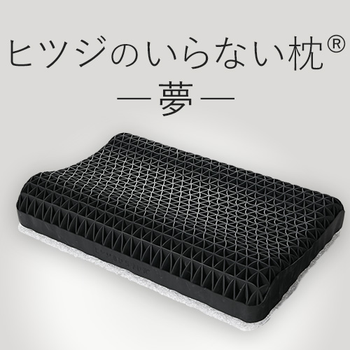 �y�V�i���l�z�q�c�W�̂���Ȃ����@���@HTY-001-J_main_1