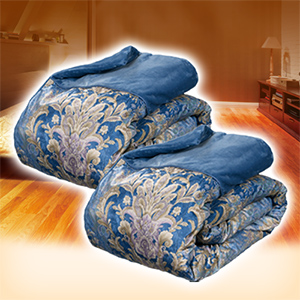 ���������@��������6�w�ѕz�v���~�A���@�V���O���@�u���[�@JTM501E