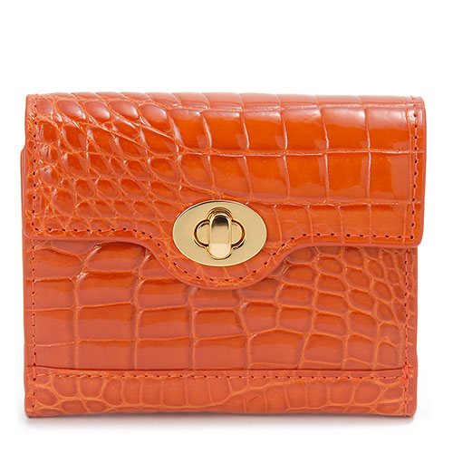 ���_�j�A�@�N���R�_�C���v�@�R���p�N�g���z�@����d�グ�@�I�����W�@RDOC50525OR_main_1