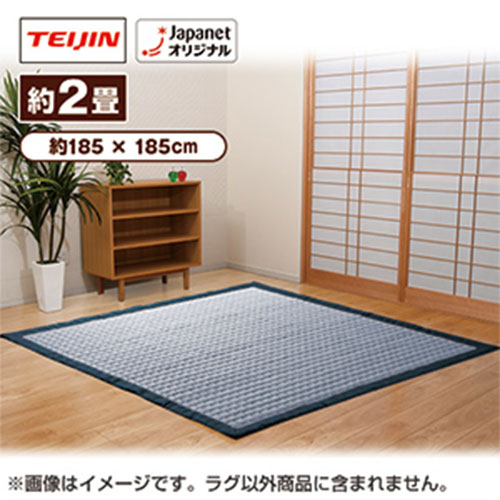 ��l�A�N�V�A�@�y�V�i���l�z�T���N���[�����O�@2��@�C���f�B�S�u���[�@sara-crg21(IBL)_main_1