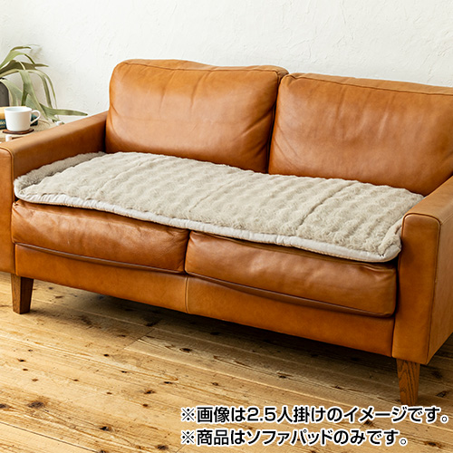 ���������@�y�V�i���l�z����S�n�A�b�v�\�t�@�p�b�h2�l�|���@JACP10S_main_1