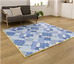 ���������@�Ă̐􂦂�h���C���O�@2��@�u���[�@JSR31E