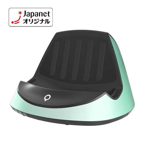 ���C�R�b�v�E�W���p���@�y�V�i���l�z���C�R�b�v���[��iRT2-100�p�j�@�O���[���@RT2-CRA01JGR_main_1