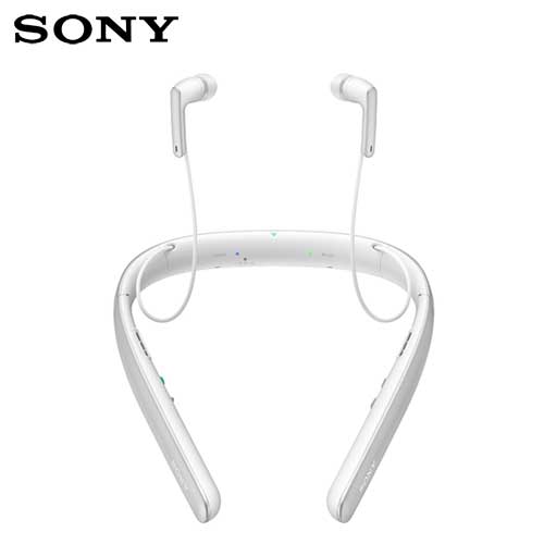 �\�j�[�@�y���i�z�񂩂��W����@�z���C�g�@SMR-10WC_main_1