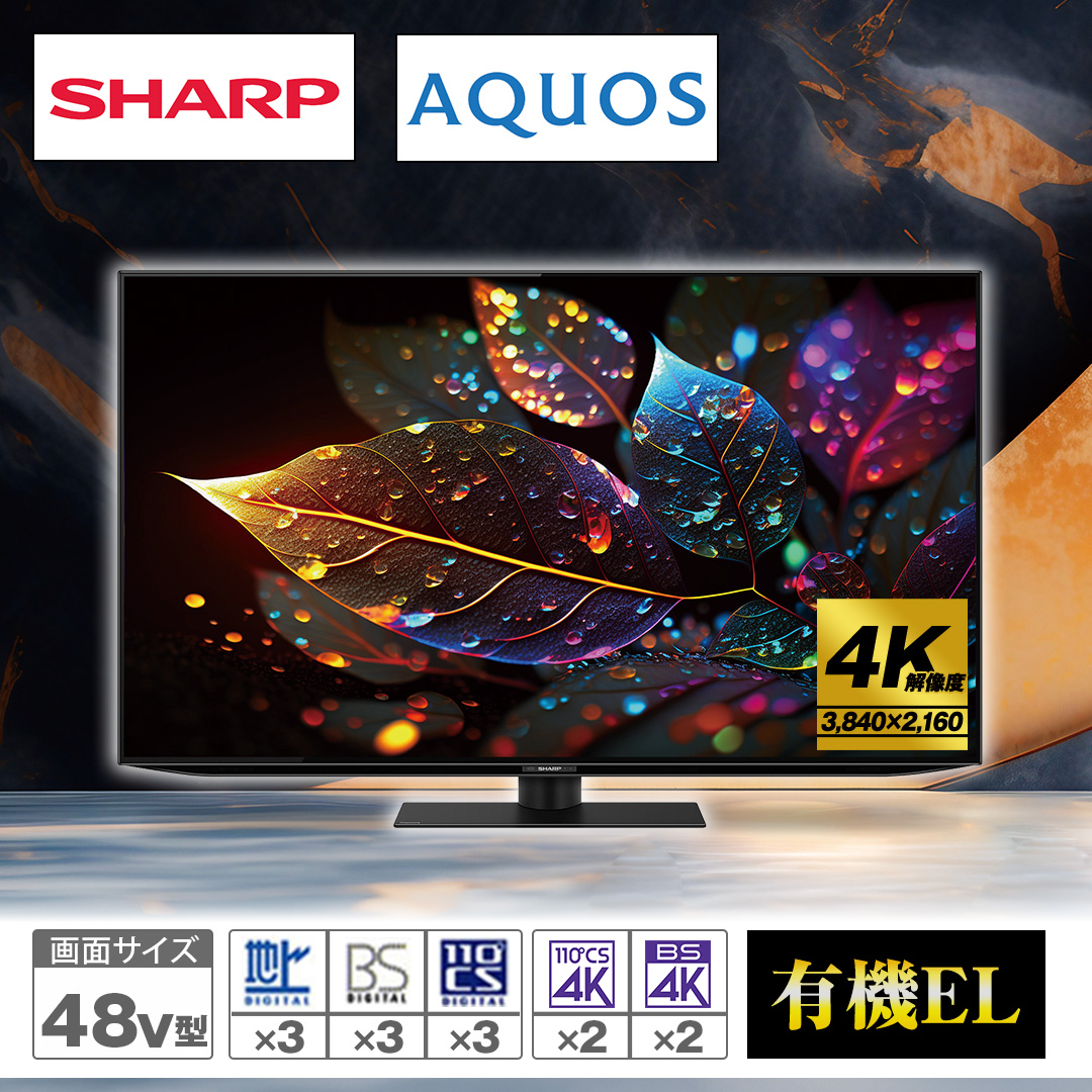 �V���[�v�@4K�L�@EL�e���r�@�A�N�I�X�@48�u�^�@4T-C48HQ2_main_2