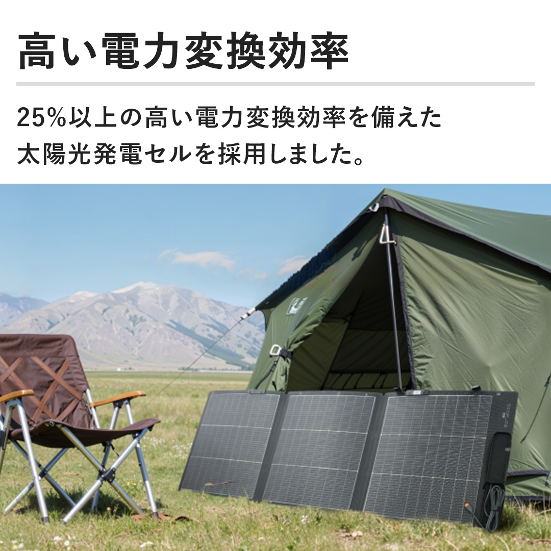 �y�����d�͕ϊ������z25%�ȏ�̍����d�͕ϊ���������������z�����d�Z�����̗p���܂����B