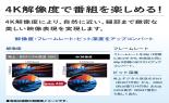 �V���[�v�@4K���R�[�_�[�@��2TB�@4B-C20GT3_thumb_8