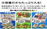 ���Ł@�①�Ɂ@VEGETA�@509L�@�O�����z���C�g�@GR-JA51TCS(EW)_thumb_10