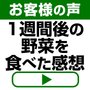 ���Ł@�①�Ɂ@VEGETA�@509L�@�O�����z���C�g�@GR-JA51TCS(EW)_thumb_7