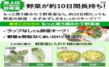 ���Ł@�①�Ɂ@VEGETA�@509L�@�T�e���S�[���h�@GR-JA51TCS(EC)_thumb_12