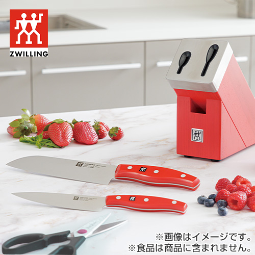 �c���B�����O�i�`�w���P���X�@�c�C���|���b�N�X�@�Z���t�V���[�v�j���O�i�C�t�u���b�N4PCS�Z�b�g�@���b�h�@Z1025-205-0_main_2