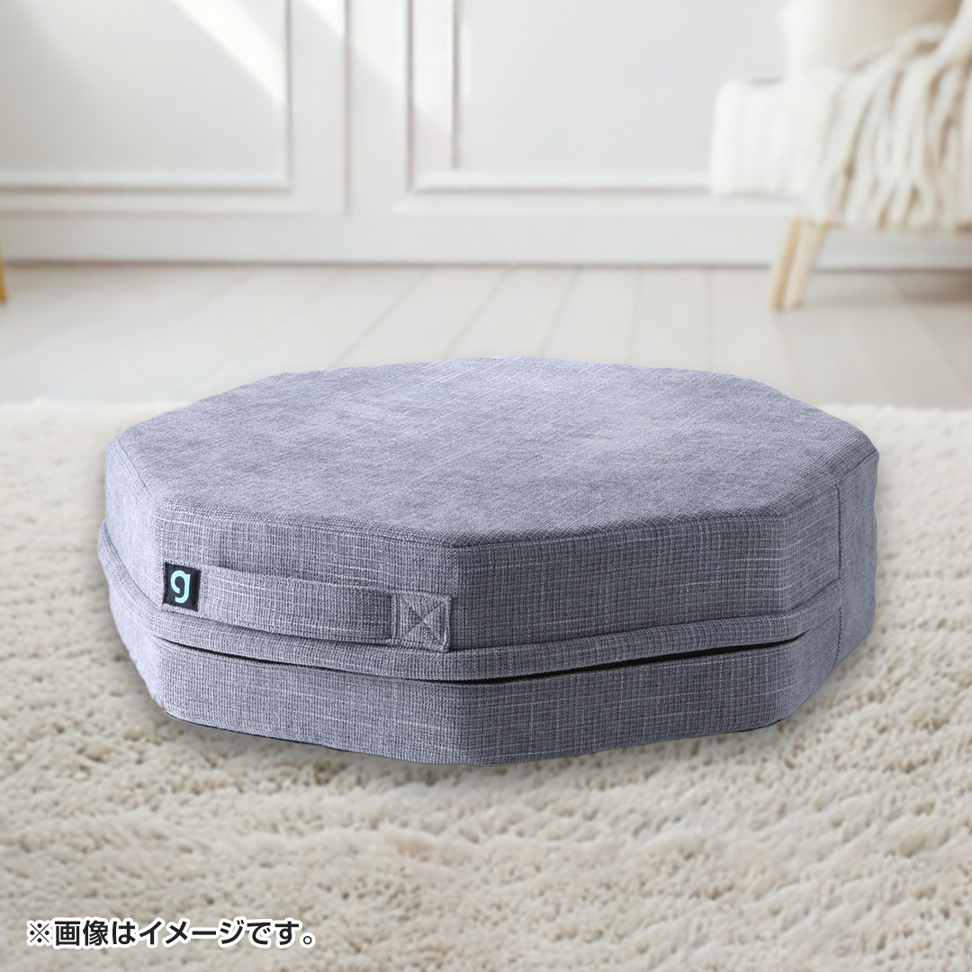 �A���C�Y�v���X�@�t�@�u���b�N�g�����|�����@�V�F�C�v�G�C�g�@�O���[�@AZ-660_main_2