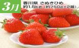 �S���{�̃t���[�c�R�[�X�@��1�e_thumb_11