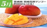�S���{�̃t���[�c�R�[�X�@��1�e_thumb_13