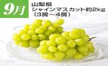 �S���{�̃t���[�c�R�[�X�@��1�e_thumb_5