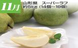 �S���{�̃t���[�c�R�[�X�@��1�e_thumb_7