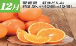 �S���{�̃t���[�c�R�[�X�@��1�e_thumb_8