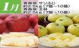 �S���{�̃t���[�c�R�[�X�@��1�e_thumb_9