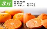 �S���{�̃t���[�c�R�[�X�@��8�e_thumb_11