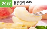 �S���{�̃t���[�c�R�[�X�@��8�e_thumb_4