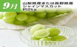 �S���{�̃t���[�c�R�[�X�@��8�e_thumb_5