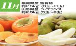 �S���{�̃t���[�c�R�[�X�@��8�e_thumb_7
