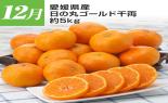 �S���{�̃t���[�c�R�[�X�@��8�e_thumb_8