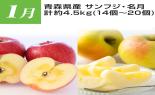 �S���{�̃t���[�c�R�[�X�@��8�e_thumb_9