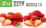 �S���{�̃t���[�c�R�[�X�@��8�e_thumb_10