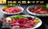 ��i�����ƊC�N���ʃR�[�X�@��3�e_thumb_11