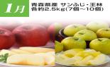 �S���{�̃t���[�c�R�[�X�@��2�e_thumb_11