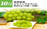 �S���{�̃t���[�c�R�[�X�@��2�e_thumb_8