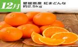 �S���{�̃t���[�c�R�[�X�@��2�e_thumb_10